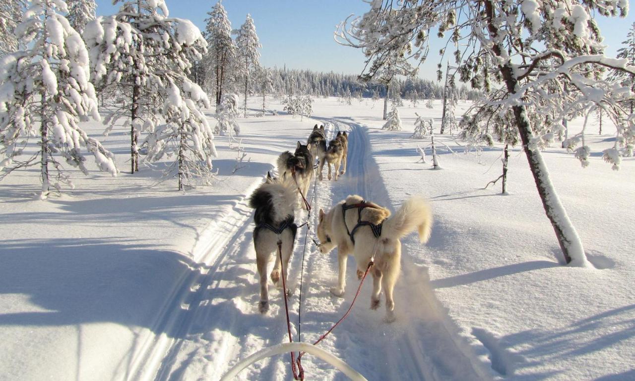 Saija Lodge Jokijärvi Exteriör bild